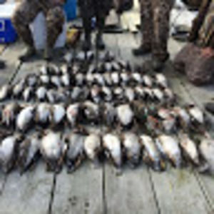 Meet your Posher, Aiden